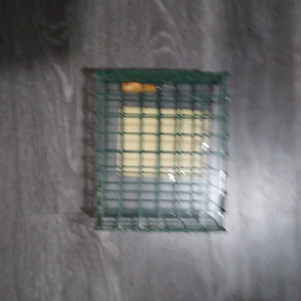 Green Bird Snack Feeder